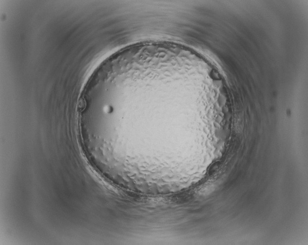 X0000067340903200604131723