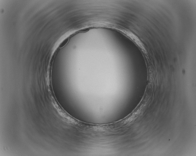 X0000067340904200604131723