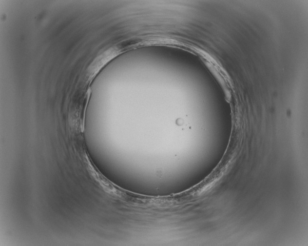 X0000067340905200604131723