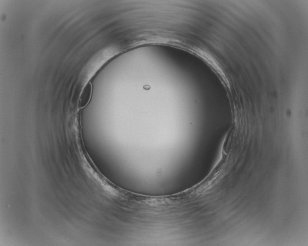 X0000067340906200604131722