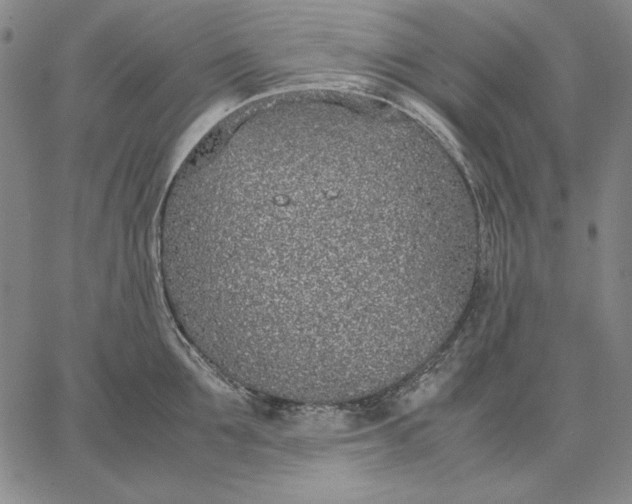 X0000067340907200604131722