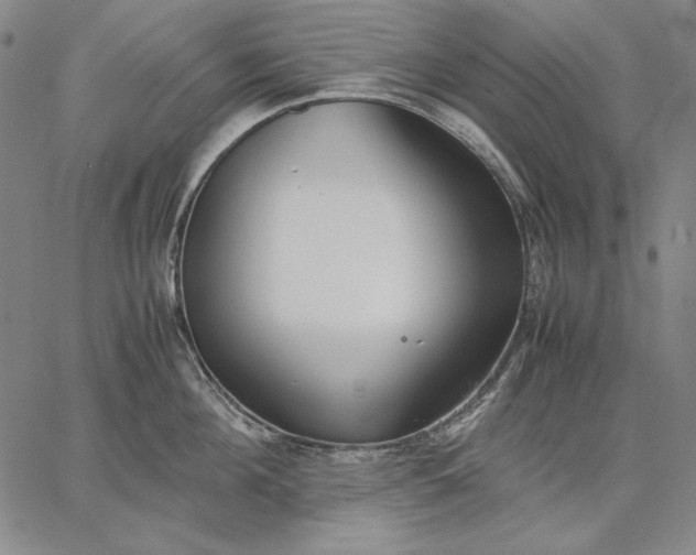 X0000067340908200604131722