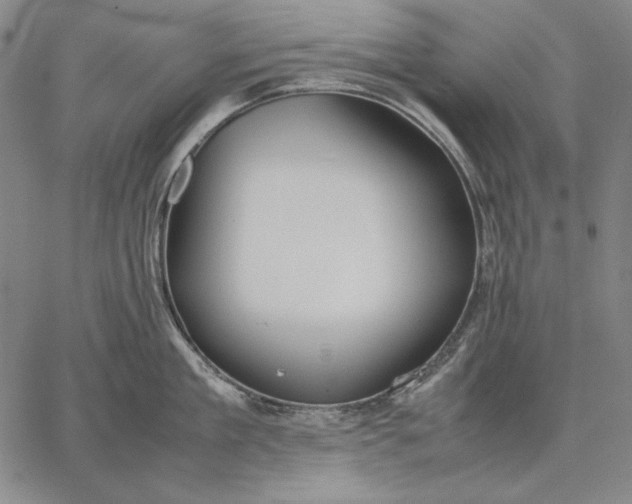 X0000067340909200604131722