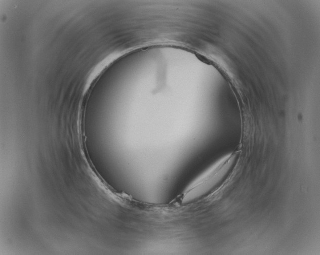 X0000067340910200604131722