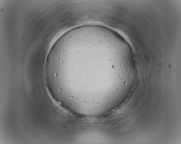 X0000067340911200604131722