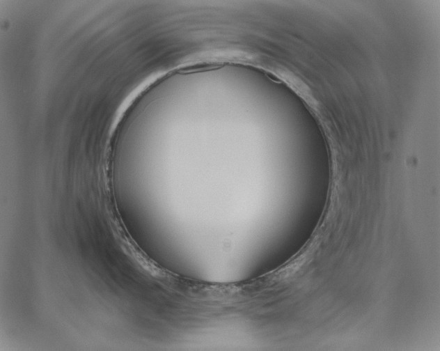 X0000067340912200604131722