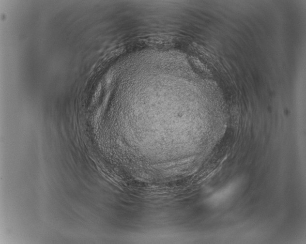 X0000067340913200604131722