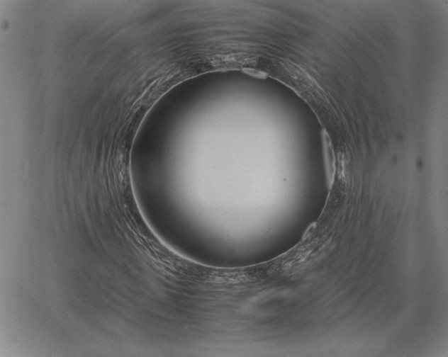 X0000067340915200604131722