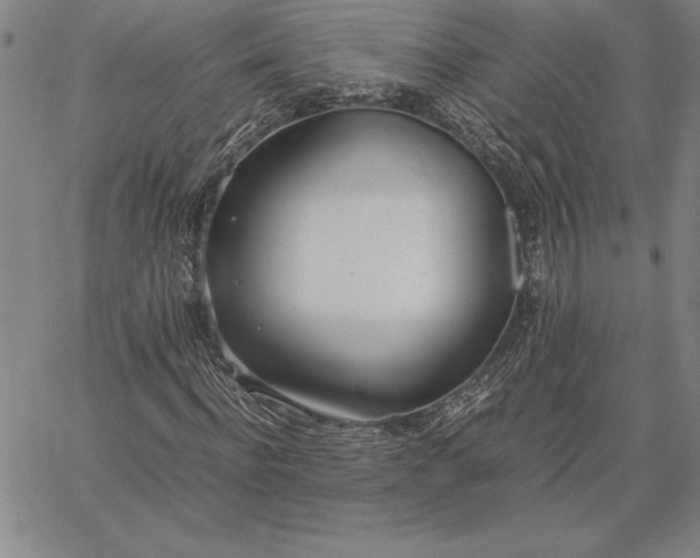 X0000067340916200604131722