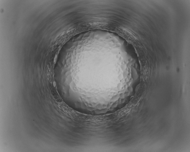 X0000067340917200604131722