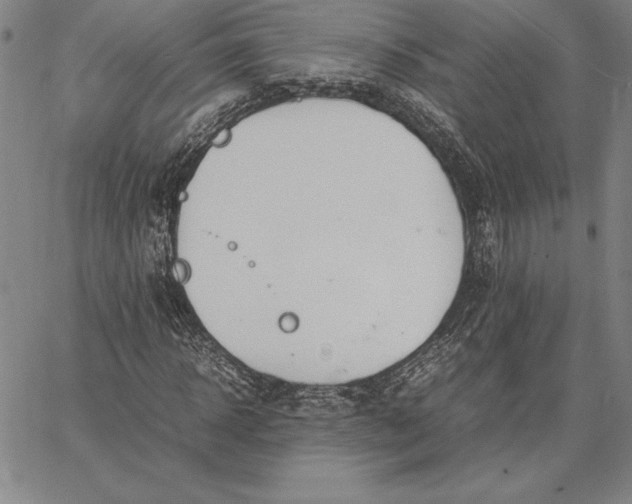 X0000067340918200604131722