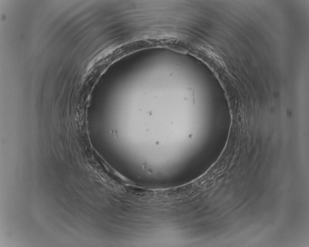 X0000067340920200604131722