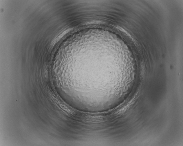 X0000067340921200604131722