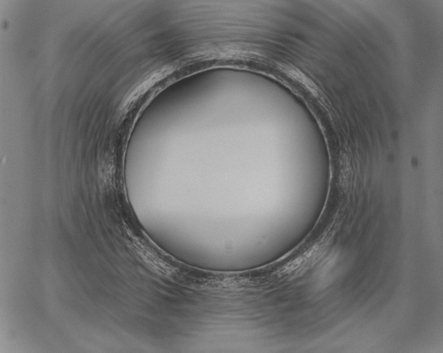 X0000067340922200604131722