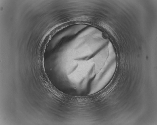 X0000067340923200604131722