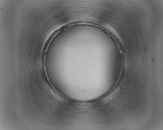 X0000067340924200604131722