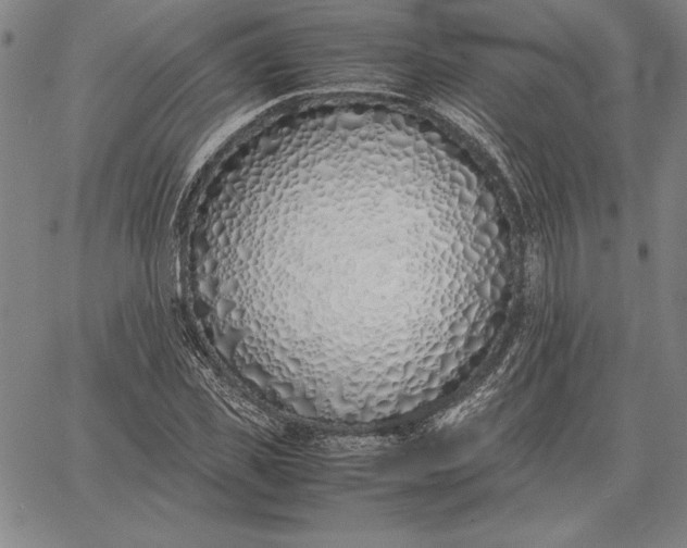 X0000067340925200604131722