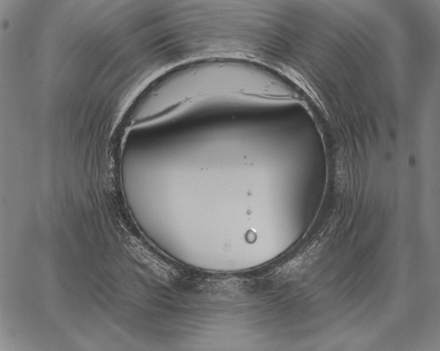 X0000067340926200604131722