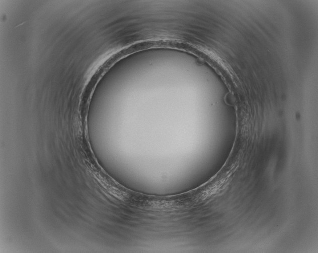 X0000067340927200604131722