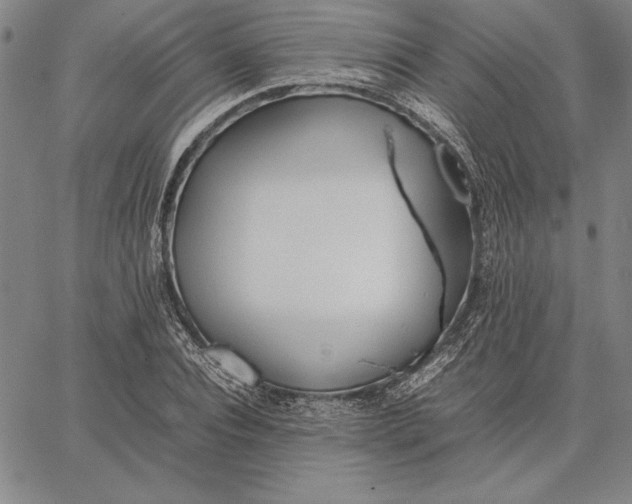 X0000067340928200604131722