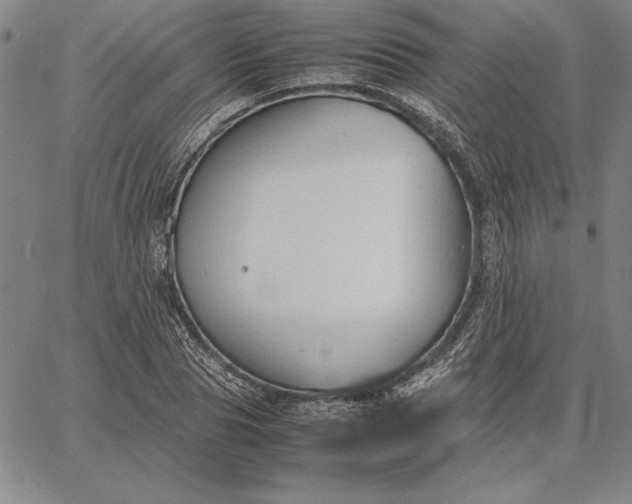 X0000067340929200604131722