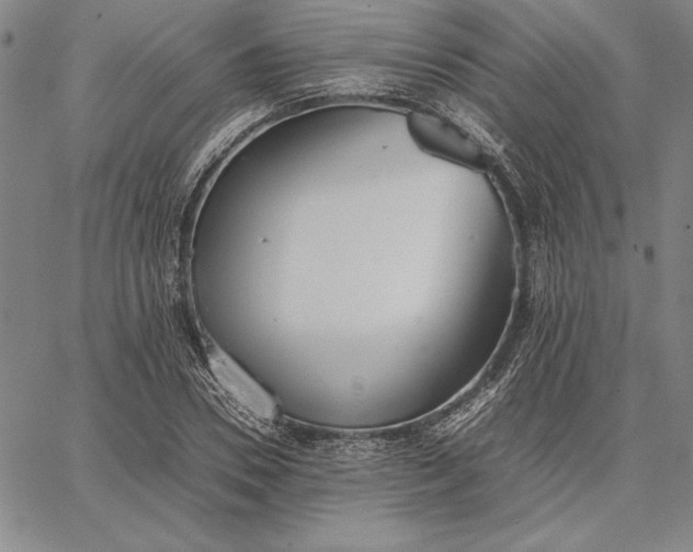 X0000067340930200604131722