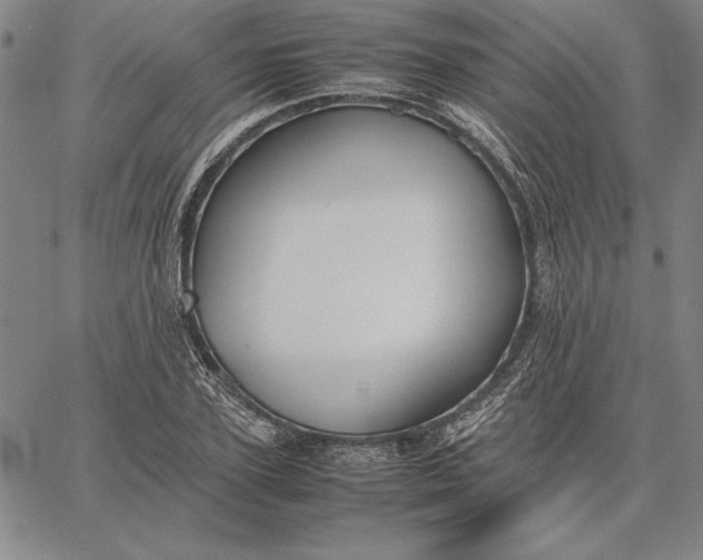 X0000067340931200604131722