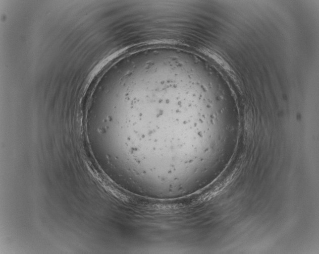 X0000067340933200604131722