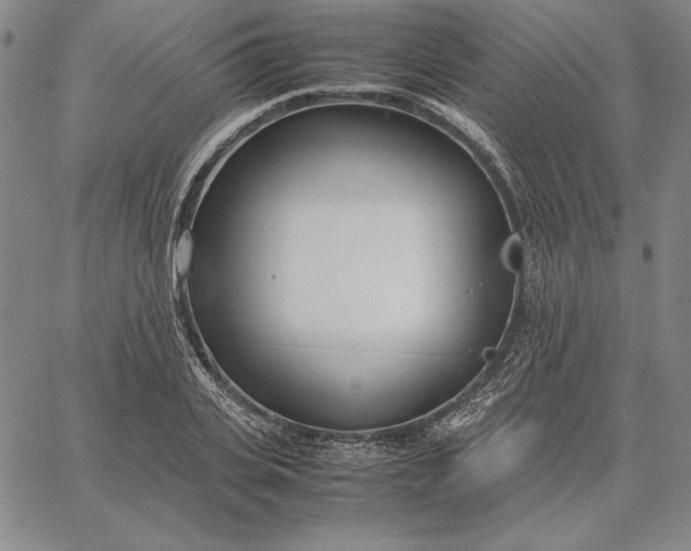 X0000067340935200604131722