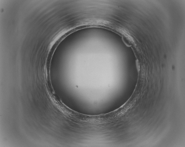 X0000067340936200604131722