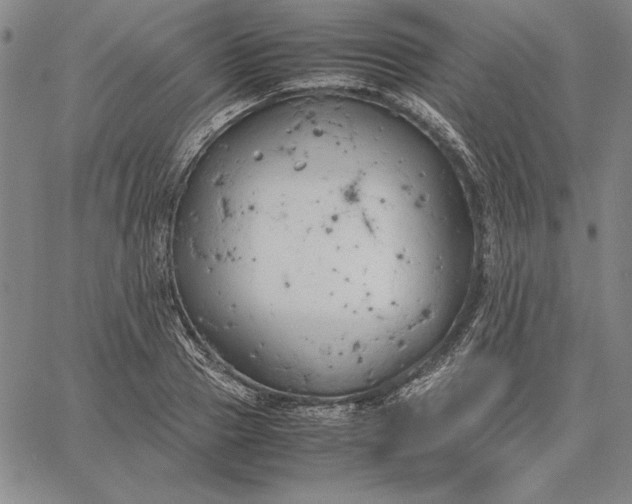 X0000067340937200604131722