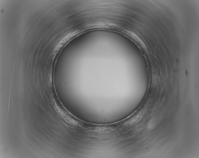 X0000067340938200604131722