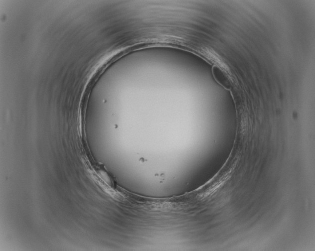 X0000067340940200604131722