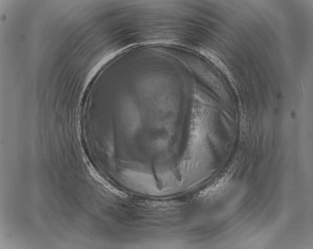 X0000067340941200604131722