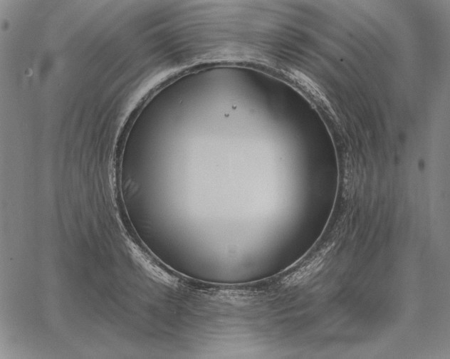 X0000067340942200604131722