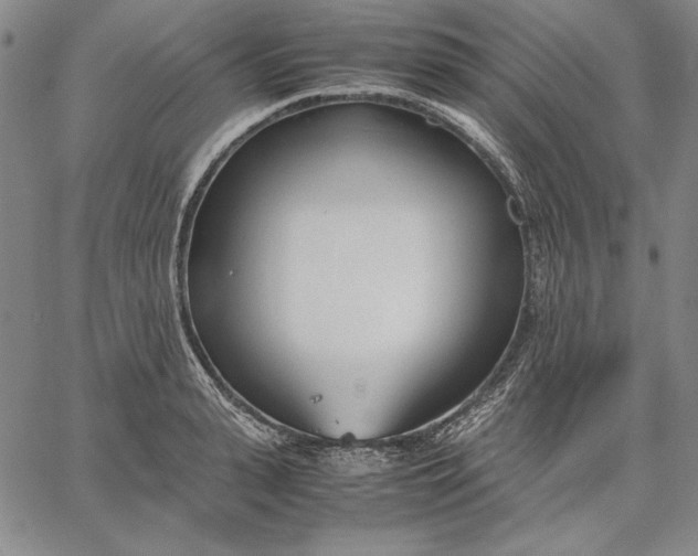 X0000067340943200604131722