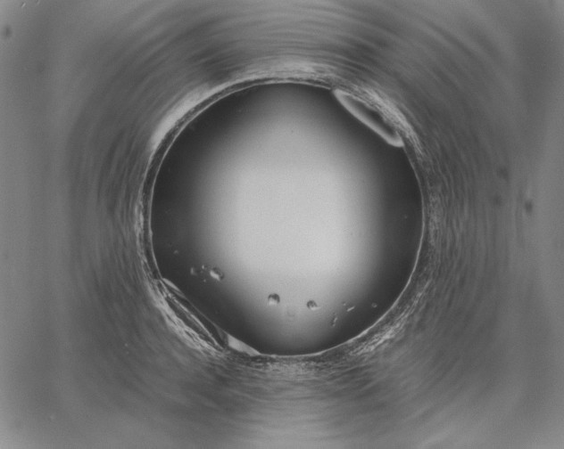 X0000067340944200604131722