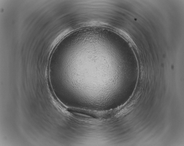 X0000067340946200604131722