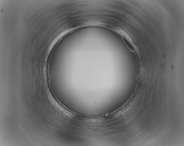 X0000067340947200604131722