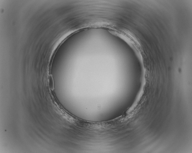 X0000067340948200604131722