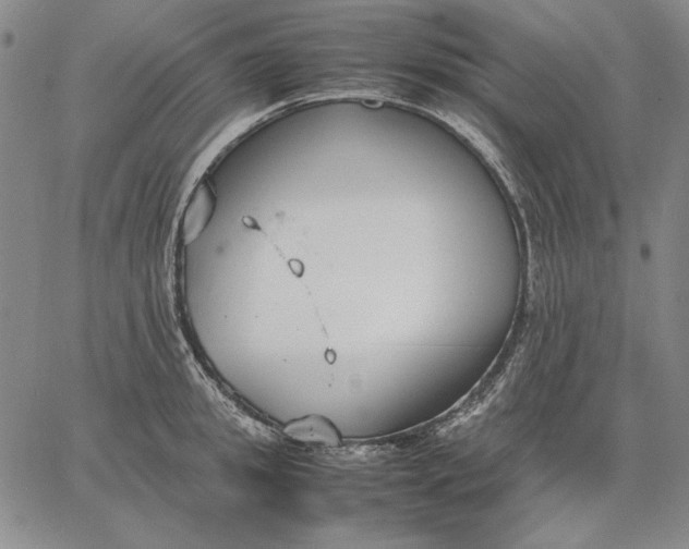 X0000067340949200604131722