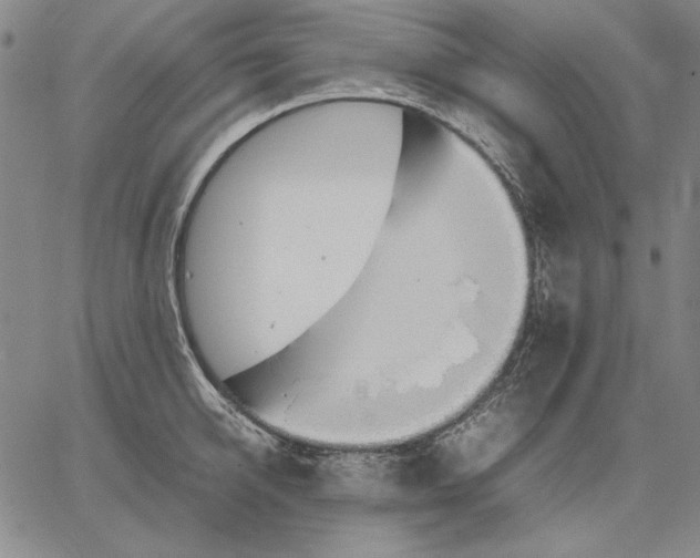 X0000067340950200604131722