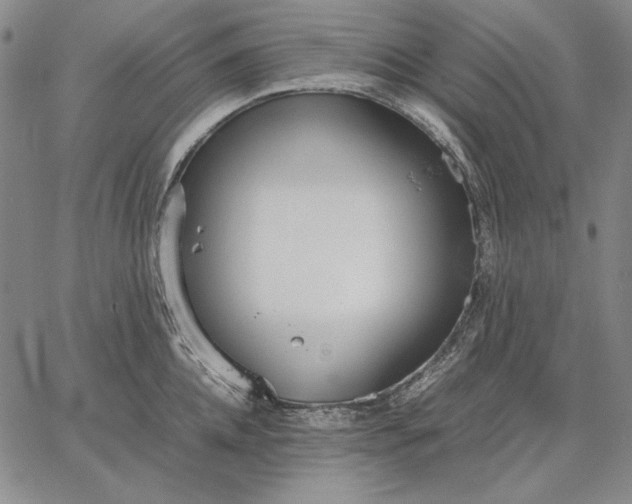 X0000067340952200604131722