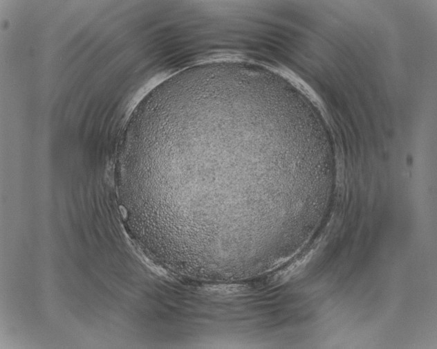 X0000067340953200604131722