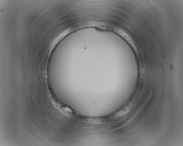 X0000067340954200604131722