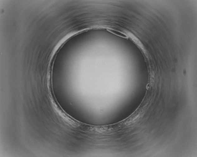 X0000067340955200604131722