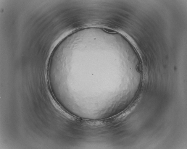 X0000067340957200604131722