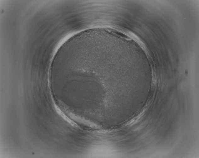 X0000067340958200604131722