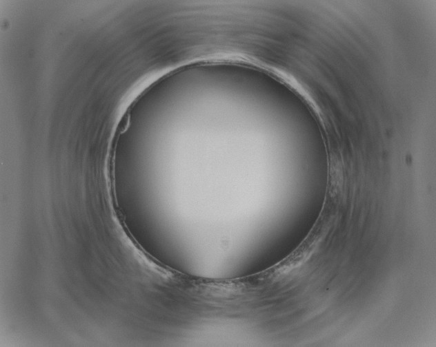 X0000067340959200604131722