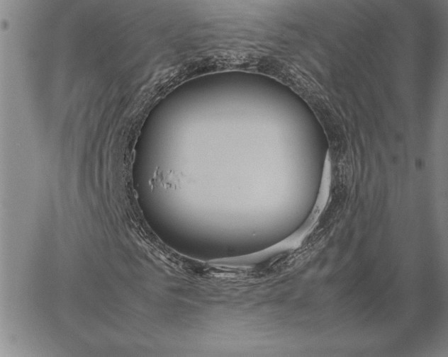 X0000067340961200604131722